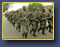 Brigade internationale